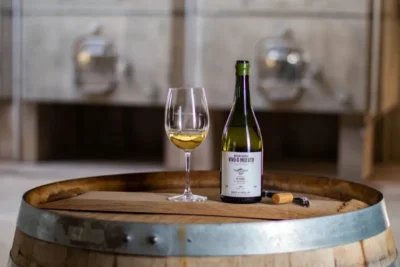 Vivo o Muerto El Cerro Gualtallary Chardonnay - Imagen 3
