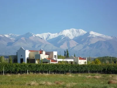 Argento Estate Collection Malbec - Imagen 6