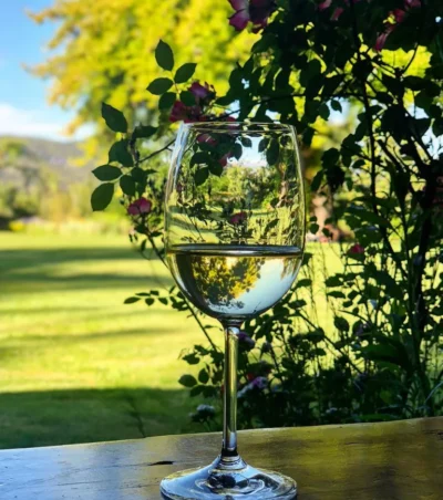 Les Astronautes P’tit Nouveau – Sauvignon Vert - Imagen 4