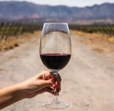 Nido del Tigre Predador Malbec-Franc - Imagen 4