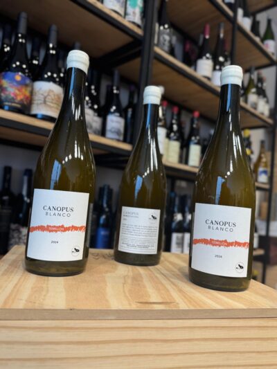 Canopus Blanco Five Easy Pieces Semillón - Imagen 3