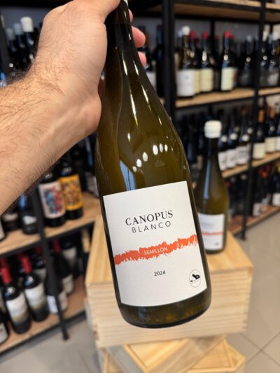 Canopus Blanco Five Easy Pieces Semillón - Imagen 2