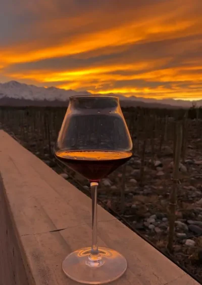 Acumine Malbec - Imagen 5