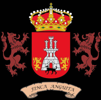 Changa – Pedro Giménez con crianza oxidativa y biológica - Imagen 7