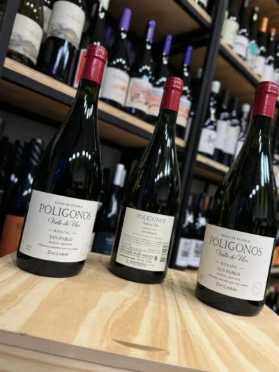 Polígonos del Valle de Uco San Pablo Riesling - Imagen 5