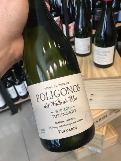 Polígonos del Valle de Uco Tupungato Semillón - Imagen 2