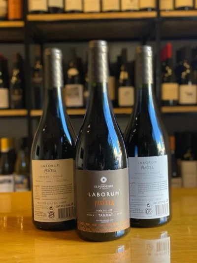 Laborum de parcela Tannat Finca Alto Rio Seco - Imagen 3