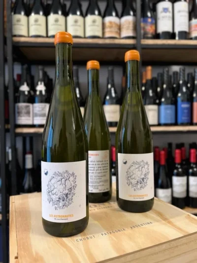 Les Astronautes P’tit Nouveau – Sauvignon Vert - Imagen 3