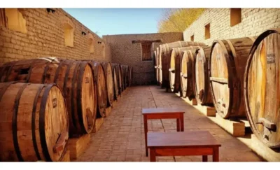 Tigerstone Garnacha - Imagen 4