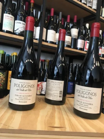 Polígonos del Valle de Uco Paraje Altamira Cabernet Franc - Imagen 4