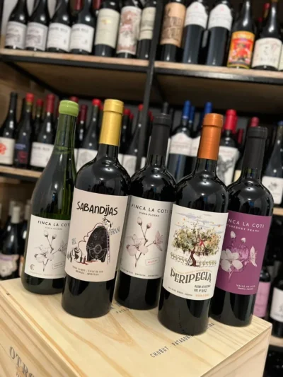 Finca La Coti Vasija de Hormigón Malbec - Imagen 2
