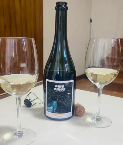 Les Astronautes Pino Pinot Brut Nature - Imagen 2