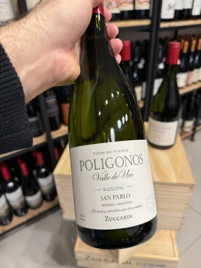 Polígonos del Valle de Uco San Pablo Riesling - Imagen 2