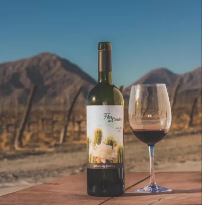 Flor de Cardón Malbec - Imagen 2