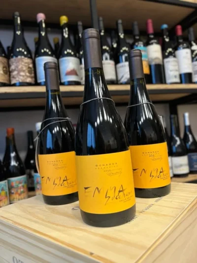 Emma Zuccardi Bonarda - Imagen 2