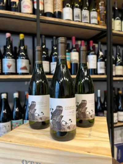 Tierra de Lechuzas Sauvignon Blanc - Imagen 4