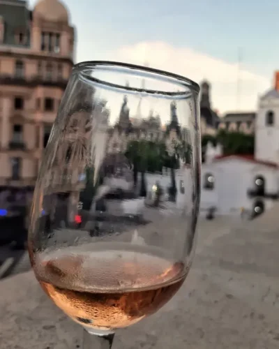 Macollo Moscatel Rosado - Imagen 3