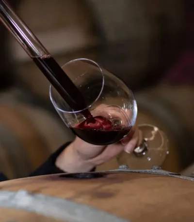 Zuccardi Finca Las Cerrilladas Malbec - Imagen 2