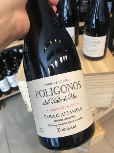 Polígonos del Valle de Uco Paraje Altamira Cabernet Franc - Imagen 2