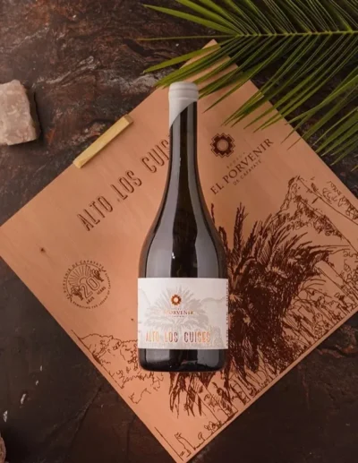 Alto Los Cuises Malbec - Imagen 2