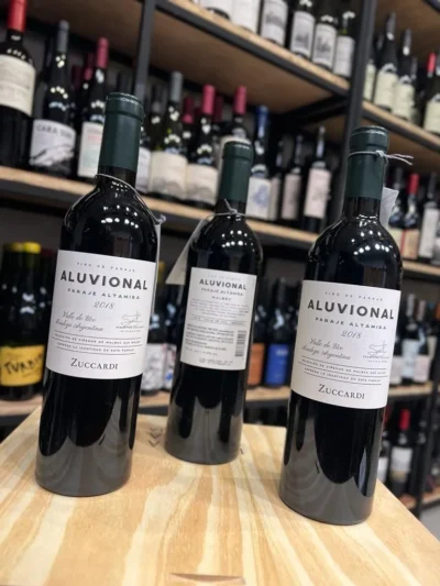 Aluvional Paraje Altamira Malbec - Imagen 5