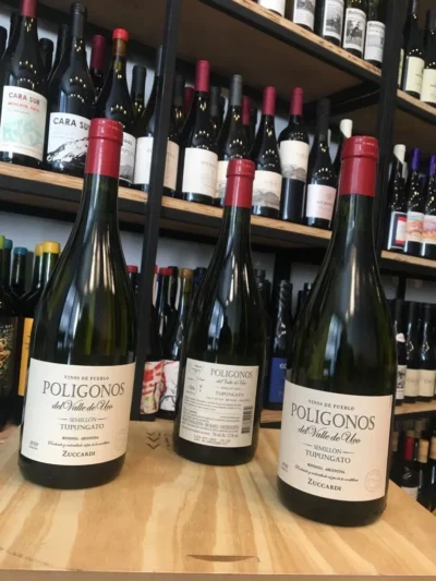 Polígonos del Valle de Uco Tupungato Semillón - Imagen 5