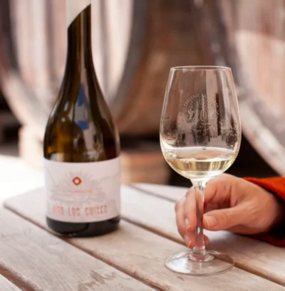 Alto Los Cuises Chardonnay - Imagen 6