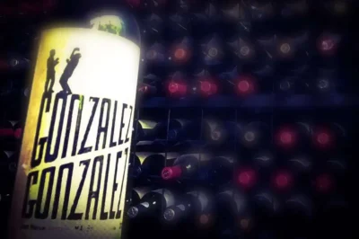 Gonzalez Gonzalez Malbec-Franc - Imagen 7