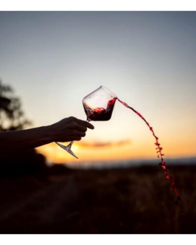Michelini I Mufatto GY Malbec – Cabernet Franc - Imagen 7
