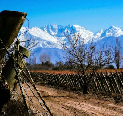 Credo Malbec Paraje Altamira - Imagen 4
