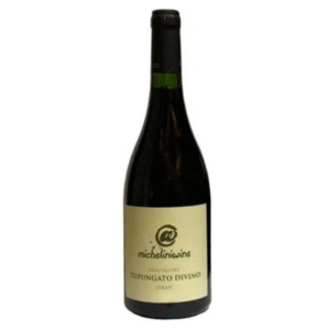 Micheliniwine Tupungato Divino Syrah